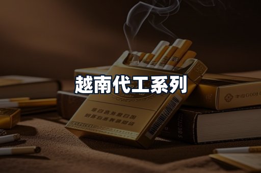 越南代工系列